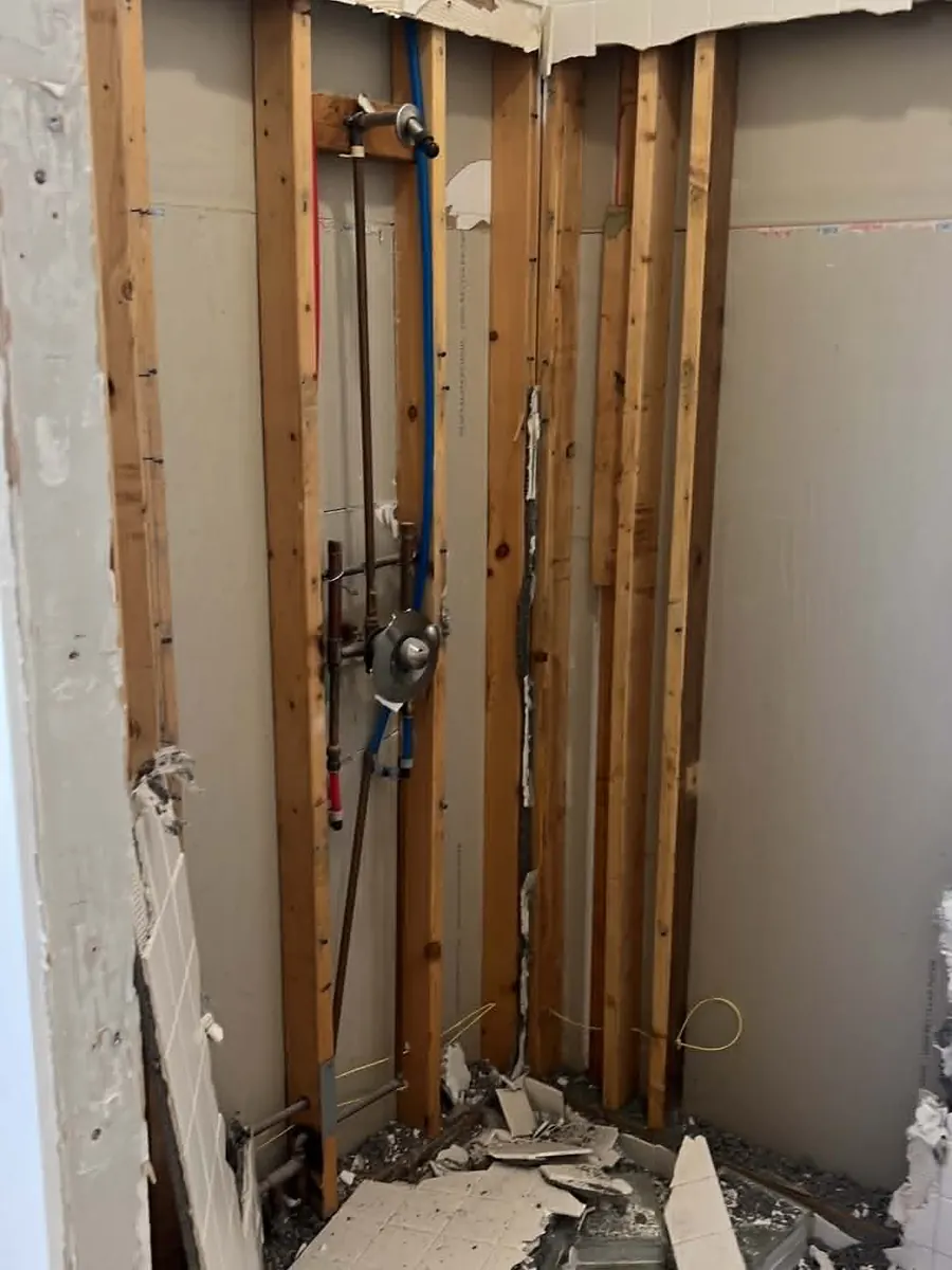 Before — bathroom remodel by Bathwright, photo 3